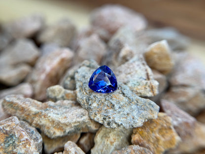 Natural Tanzanite, Trillion cut, 0.9 Carats