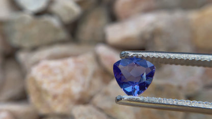 Natural Tanzanite, Trillion cut, 0.9 Carats